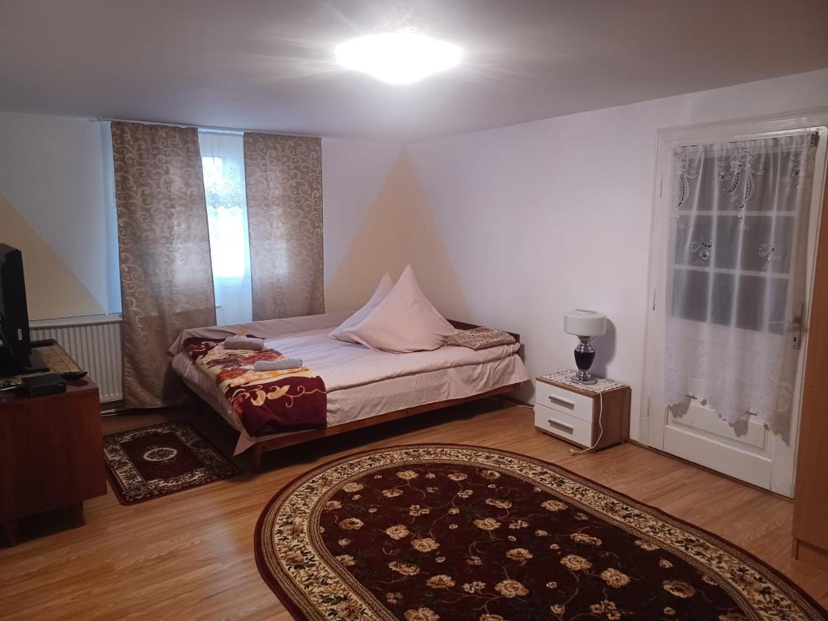 Casa Bucovina Dorna Candrenilor Ascutitele Экстерьер фото