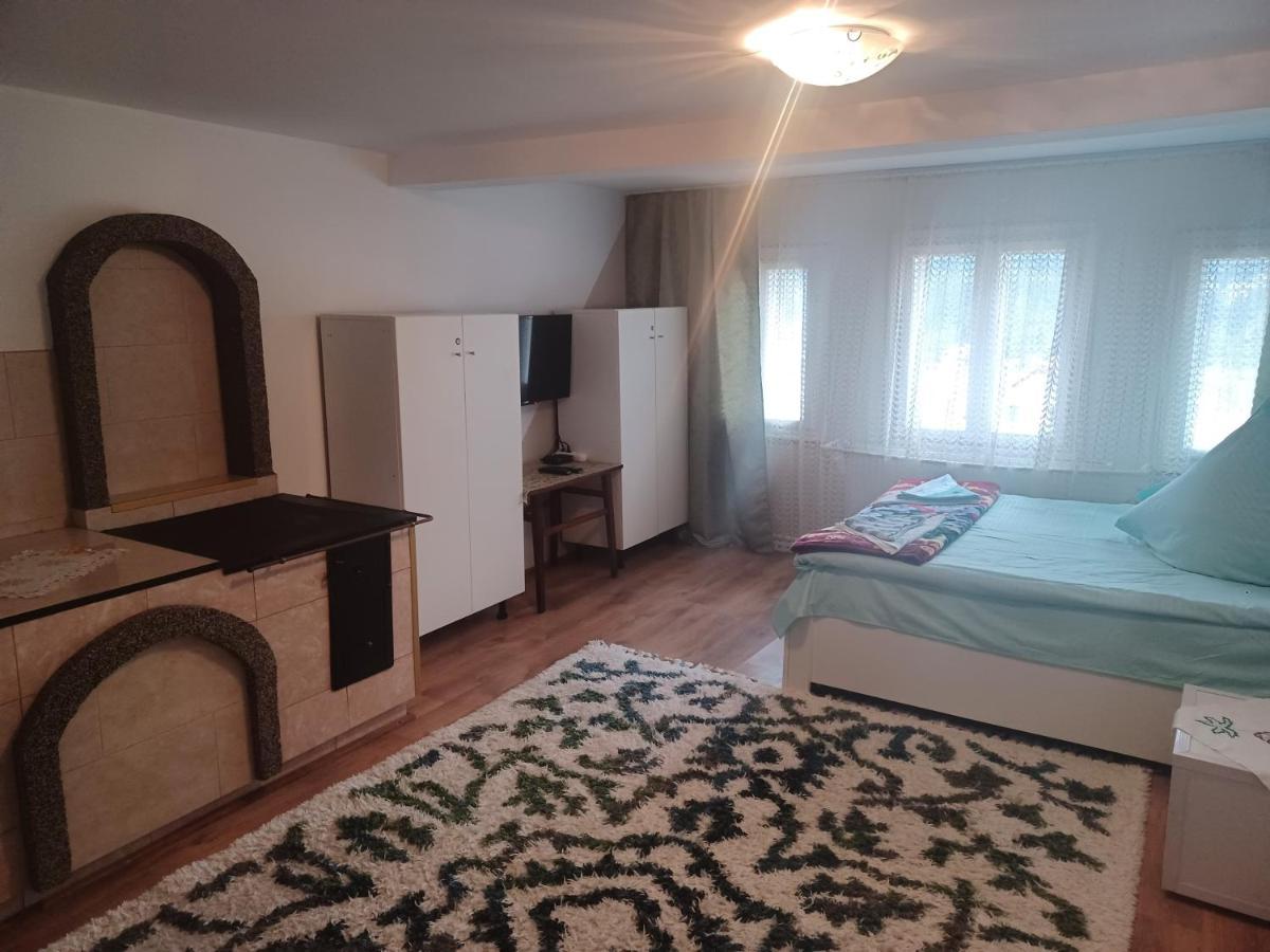 Casa Bucovina Dorna Candrenilor Ascutitele Экстерьер фото